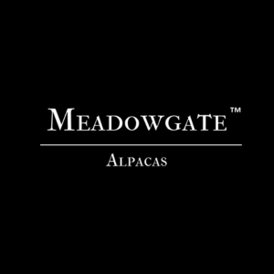 Meadowgate Alpacas